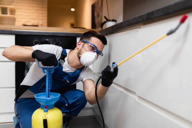 Best Pest Prevention Services  in Reno, OH