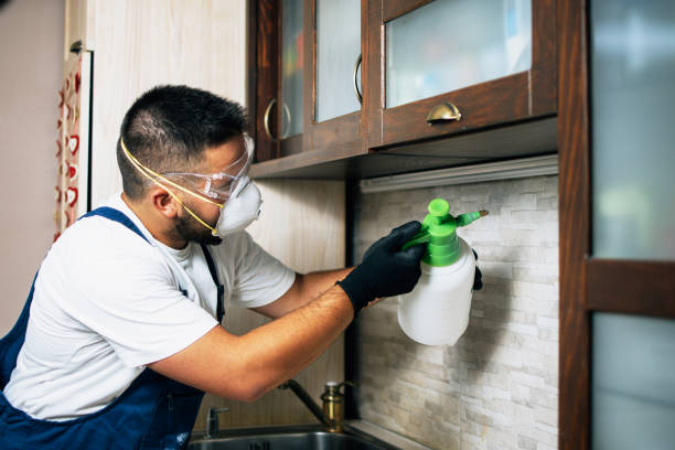 Best Affordable Pest Control Services  in Reno, OH