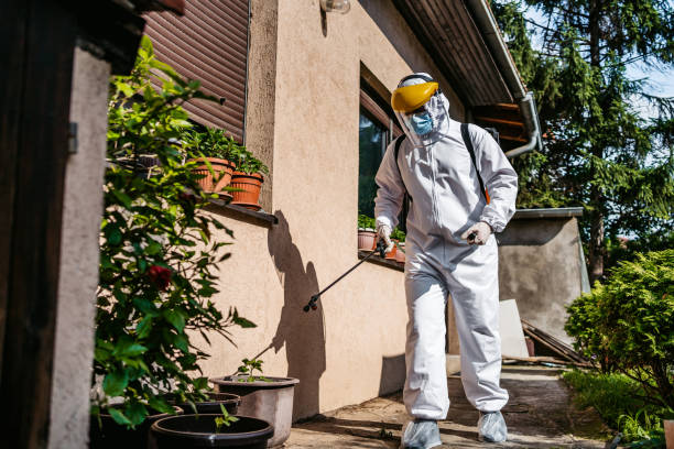 Best Wasp Removal Services  in Reno, OH