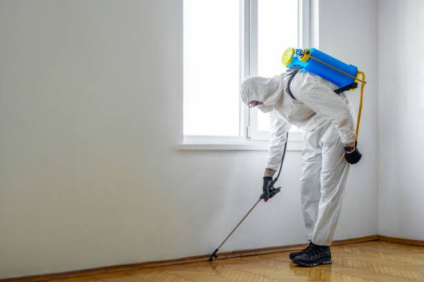 Insect Control in Reno, OH