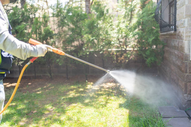 Best Rodent Control Near Me  in Reno, OH
