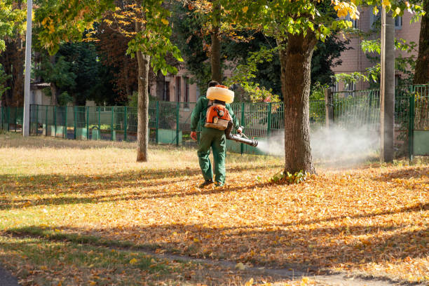 Best Residential Pest Control  in Reno, OH