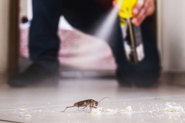 Best Commercial Pest Control Services  in Reno, OH