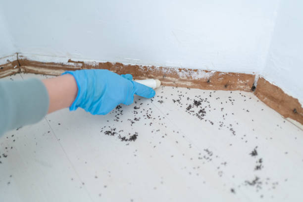 Best Best Pest Control Companies  in Reno, OH